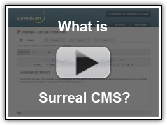 What Is Surreal CMS